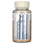 Лютеин, натуральная голубика, Lutein Eyes 18, Natural Blueberry, Solaray, 30 жевательных таблеток - Фото миниатюра 2